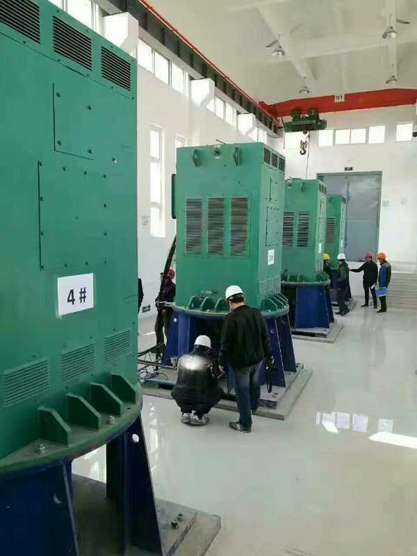 YJTFKK5002-12-250KW某污水处理厂使用我厂的立式高压电机安装现场