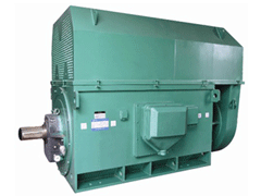 YJTFKK5002-12-250KWY系列6KV高压电机