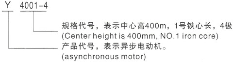 西安泰富西玛Y系列(H355-1000)高压YJTFKK5002-12-250KW三相异步电机型号说明